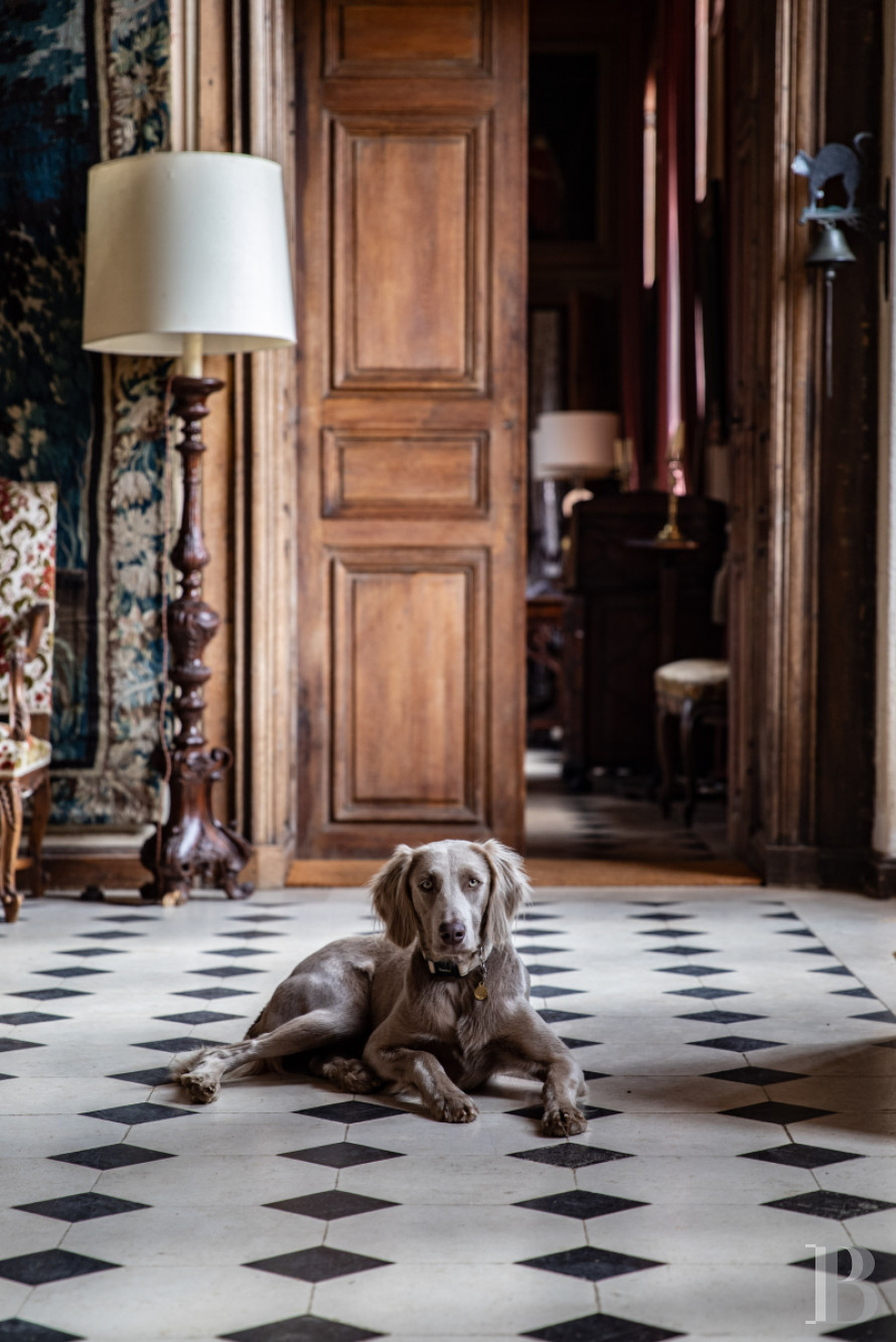 En Eure-et-Loire, à l’ouest de Chartres, un château du 17e dans un parc de 140 ha traversé par l’Eure - photo  n°31
